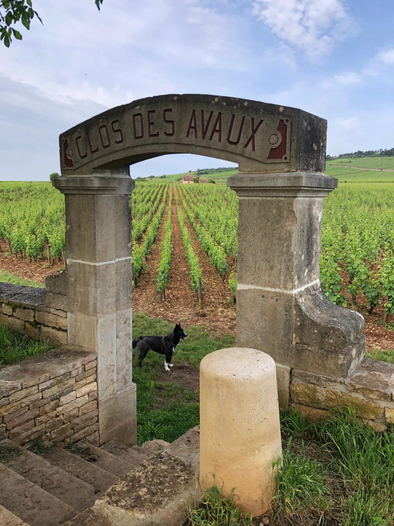La Route Des Vins Leilighet Beaune  Eksteriør bilde